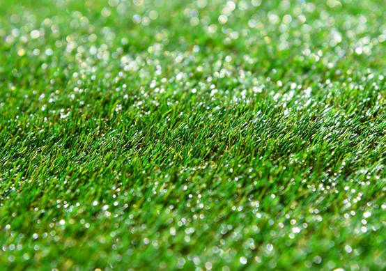 1736241855211659.png 圖片3.png