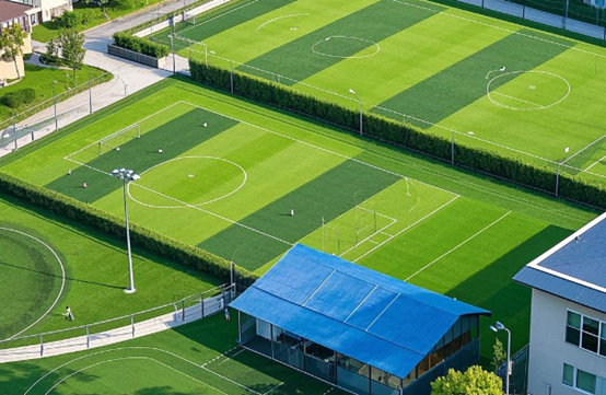 1738831286271478.png 仿真草坪