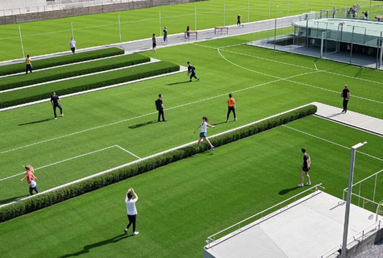 1738831426147548.png 人工草坪