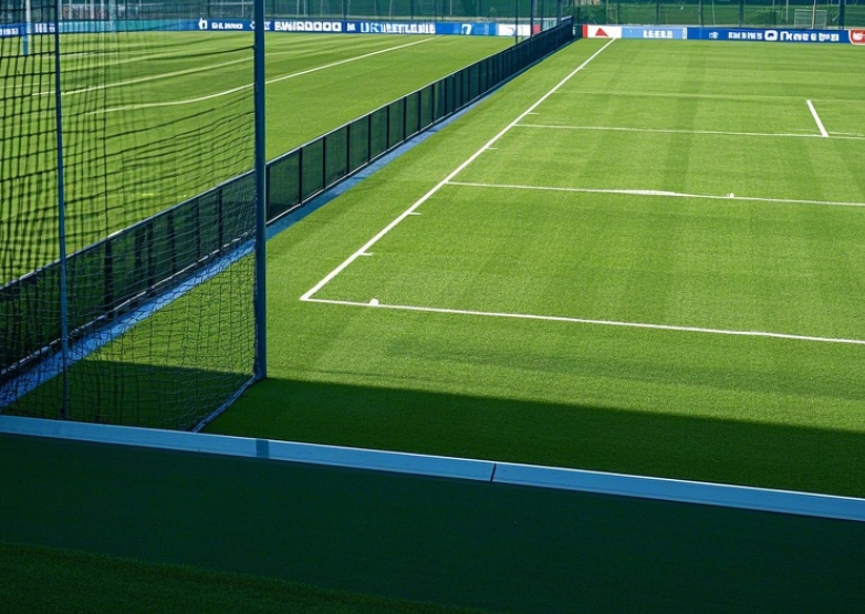 1742888383168906.png 仿真草坪