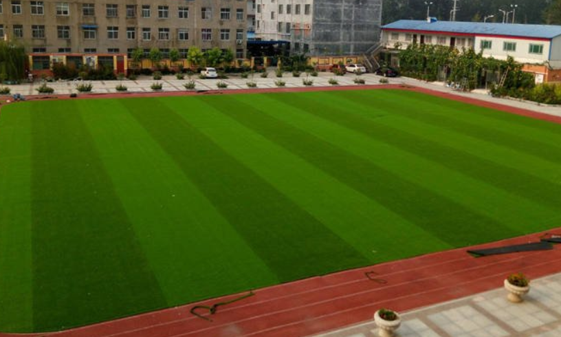 1744190136803536.png 仿真草坪