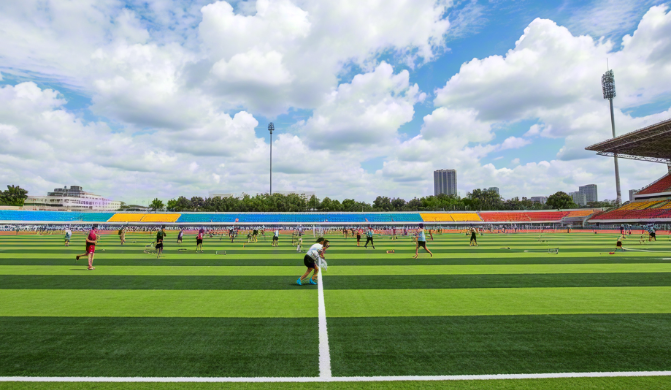 1746687875106311.png 仿真草坪