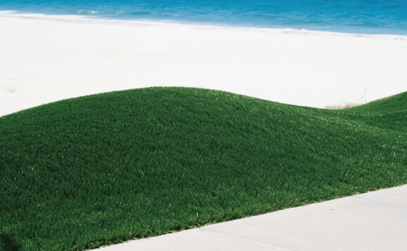 1756289402112238.png 人工草坪