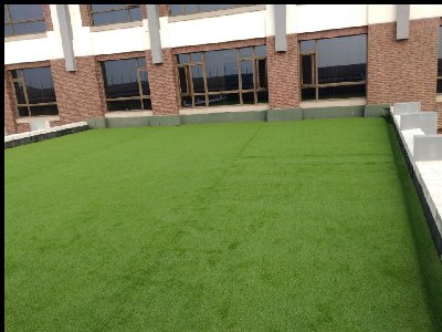 蘇州吳江區同里鎮屋頂綠化