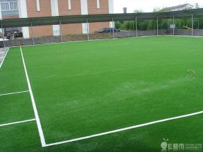 足球場草皮