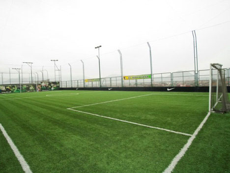 人工草皮報(bào)價(jià)