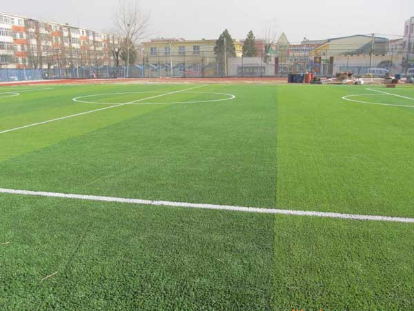體育場人造草坪