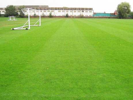 足球場(chǎng)草坪