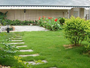 屋頂綠化設計說明